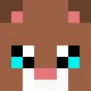 Dicecraft Nutzer SSLProtokoll